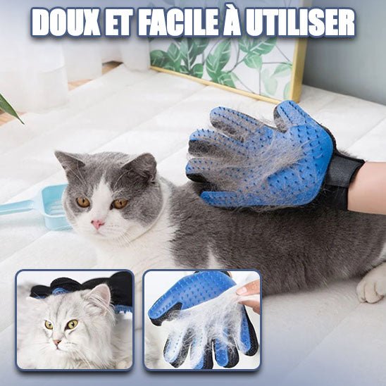 Gant de toilettage pour chat