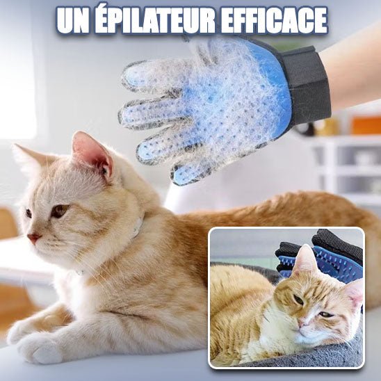 Gant de toilettage pour chat